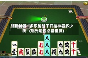 辅助神器“多乐跑胡子开挂神器多少钱”(曝光透视必备猫腻)