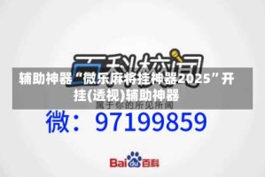辅助神器“微乐麻将挂神器2025”开挂(透视)辅助神器