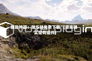 辅助神器：微乐挂免费下载”(原来确实是有插件)