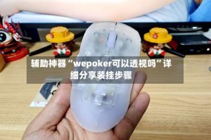 辅助神器“wepoker可以透视吗”详细分享装挂步骤