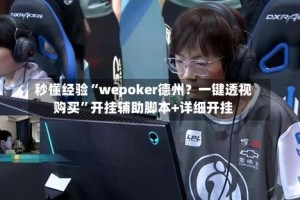 秒懂经验“wepoker德州？一键透视购买”开挂辅助脚本+详细开挂