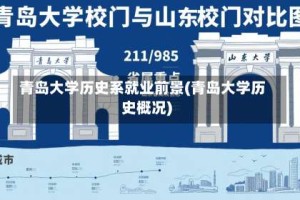 青岛大学历史系就业前景(青岛大学历史概况)