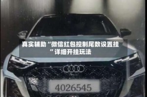 真实辅助“微信红包控制尾数设置挂”详细开挂玩法