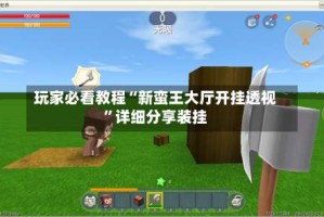 玩家必看教程“新蛮王大厅开挂透视”详细分享装挂