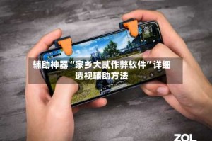 辅助神器“家乡大贰作弊软件”详细透视辅助方法