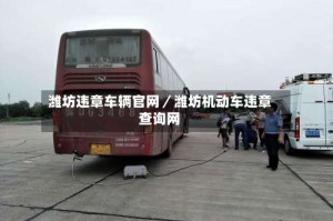 潍坊违章车辆官网／潍坊机动车违章查询网