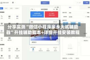 分享实测“微信小程序家乡大贰辅助器”开挂辅助脚本+详细开挂安装教程