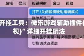 辅助开挂工具：微乐游戏辅助插件(透视)”详细开挂玩法