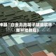 辅助神器“白金岛跑胡子辅助软件”(详细开挂教程)