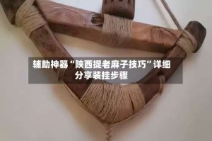 辅助神器“陕西捉老麻子技巧”详细分享装挂步骤