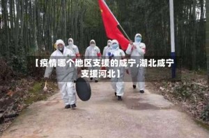 【疫情哪个地区支援的咸宁,湖北咸宁支援河北】