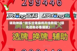 辅助神器“微乐甘肃麻将开挂教程”(曝光透视必备猫腻)