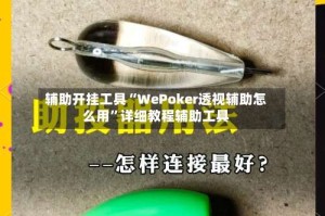 辅助开挂工具“WePoker透视辅助怎么用”详细教程辅助工具