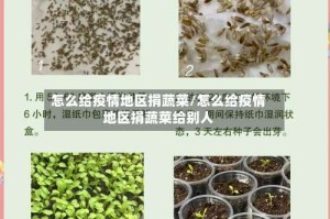 怎么给疫情地区捐蔬菜/怎么给疫情地区捐蔬菜给别人