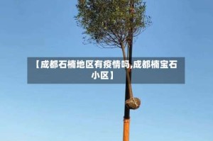 【成都石楠地区有疫情吗,成都楠宝石小区】