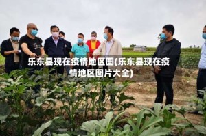 乐东县现在疫情地区图(乐东县现在疫情地区图片大全)