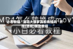 必看教程“蒲花大菠萝真的有挂吗”开挂(透视)辅助教程