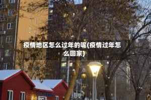 疫情地区怎么过年的呢(疫情过年怎么回家)