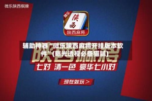 辅助神器“微乐陕西麻将开挂版本软件”(曝光透视必备猫腻)