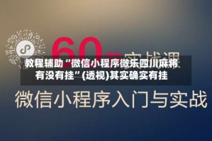 教程辅助“微信小程序微乐四川麻将有没有挂”(透视)其实确实有挂