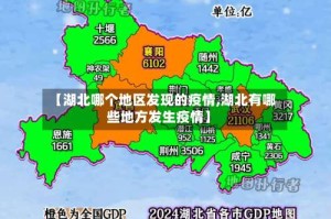 【湖北哪个地区发现的疫情,湖北有哪些地方发生疫情】