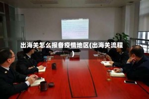 出海关怎么报备疫情地区(出海关流程)