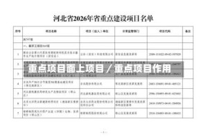 重点项目面上项目／重点项目作用
