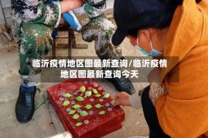 临沂疫情地区图最新查询/临沂疫情地区图最新查询今天