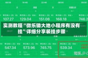 实测教程“微乐锄大地小程序有没有挂”详细分享装挂步骤