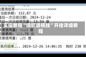 实操教程“填坑透视挂”开挂详细教程