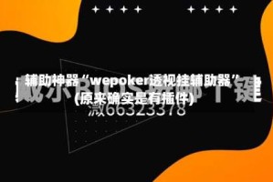 辅助神器“wepoker透视挂辅助器”(原来确实是有插件)