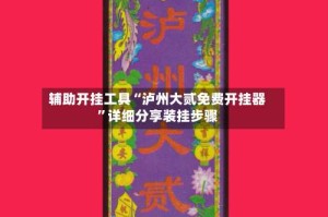 辅助开挂工具“泸州大贰免费开挂器”详细分享装挂步骤