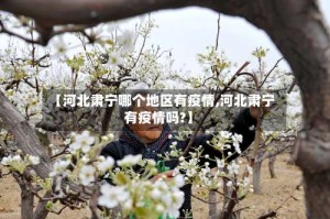 【河北肃宁哪个地区有疫情,河北肃宁有疫情吗?】