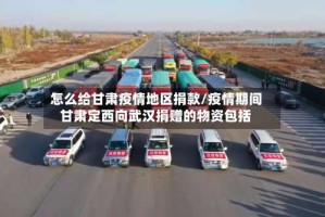 怎么给甘肃疫情地区捐款/疫情期间甘肃定西向武汉捐赠的物资包括