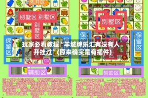 玩家必看教程“羊城牌乐汇有没有人开挂过”(原来确实是有插件)