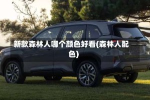 新款森林人哪个颜色好看(森林人配色)