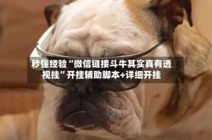 秒懂经验“微信链接斗牛其实真有透视挂”开挂辅助脚本+详细开挂