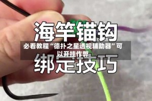 必看教程“德扑之星透视辅助器”可以开挂作弊