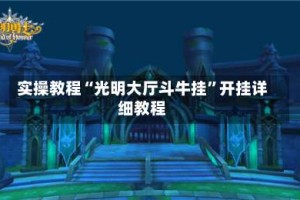 实操教程“光明大厅斗牛挂”开挂详细教程