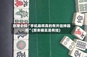 玩家必知“手机麻将真的有开挂神器吗”(原来确实是有挂)