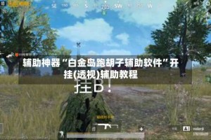 辅助神器“白金岛跑胡子辅助软件”开挂(透视)辅助教程