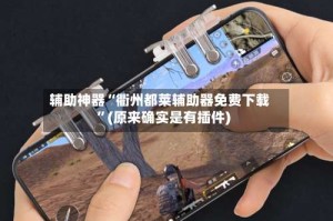 辅助神器“衢州都莱辅助器免费下载”(原来确实是有插件)