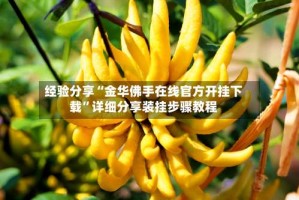 经验分享“金华佛手在线官方开挂下载”详细分享装挂步骤教程