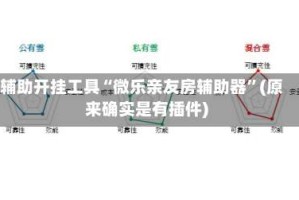 辅助开挂工具“微乐亲友房辅助器”(原来确实是有插件)