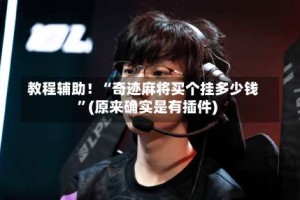 教程辅助！“奇迹麻将买个挂多少钱”(原来确实是有插件)