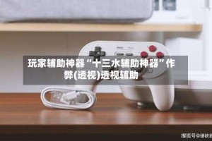 玩家辅助神器“十三水辅助神器”作弊(透视)透视辅助