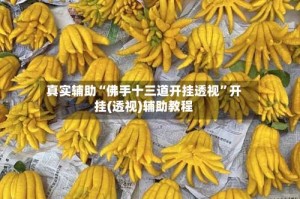 真实辅助“佛手十三道开挂透视”开挂(透视)辅助教程