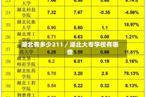 湖北有多少211／湖北大专学校有哪些