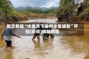指定教程“水鱼天下金州水鱼辅助”开挂(透视)辅助教程