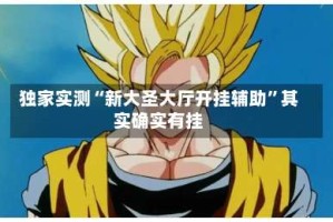 独家实测“新大圣大厅开挂辅助”其实确实有挂